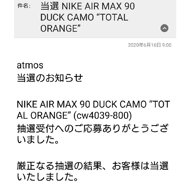 NIKE(ナイキ)のNIKE AIR MAX 90 DUCK CAMO  メンズの靴/シューズ(スニーカー)の商品写真