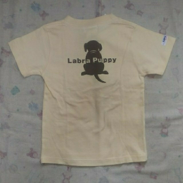 Labrador Retriever(ラブラドールリトリーバー)のau様専用   Labra Puppy Tシャツ2枚セット キッズ/ベビー/マタニティのキッズ服男の子用(90cm~)(Tシャツ/カットソー)の商品写真