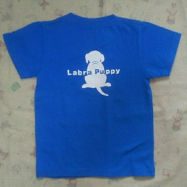 Labrador Retriever(ラブラドールリトリーバー)のau様専用   Labra Puppy Tシャツ2枚セット キッズ/ベビー/マタニティのキッズ服男の子用(90cm~)(Tシャツ/カットソー)の商品写真