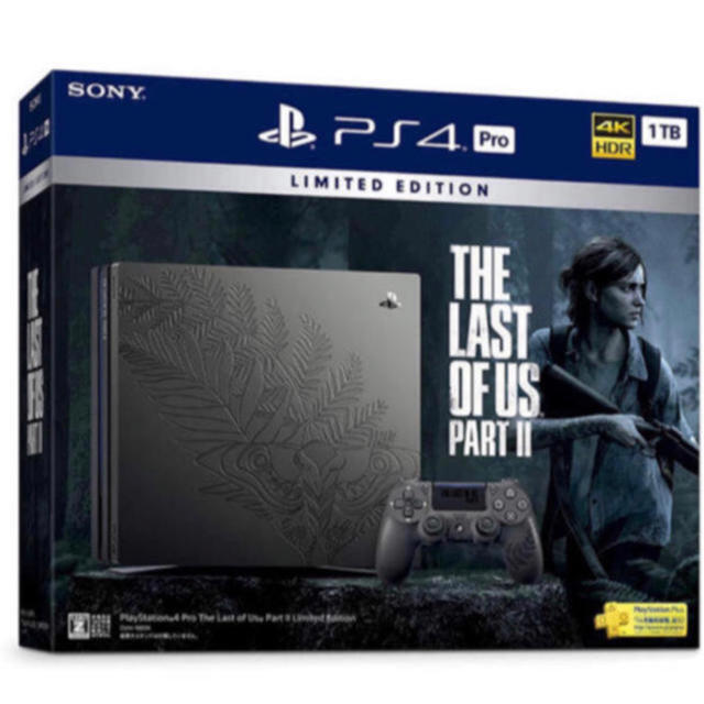 最大58%オフ! ps4 pro 1TB リオレウスエディション hina gon様専用