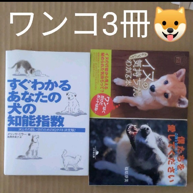 世界的に イヌの気持ちがわかる本 犬と飼い主のためのiqテスト 奇跡を起こした犬たちの物語 本 Hlt No 世界的に イヌの気持ちがわかる本 犬と飼い主のためのiqテスト 奇跡を起こした犬たちの物語 本 Hlt No