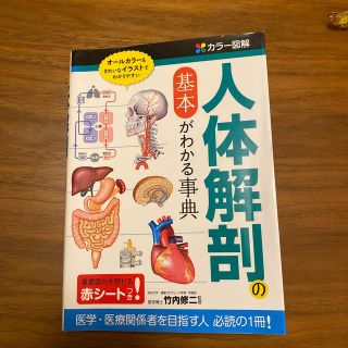 カラ－図解人体解剖の基本がわかる事典(健康/医学)