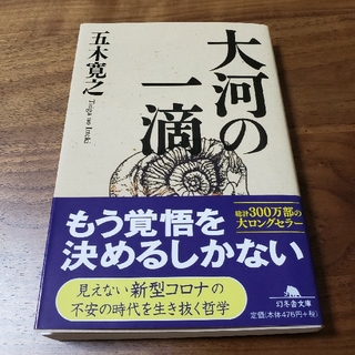 大河の一滴(文学/小説)