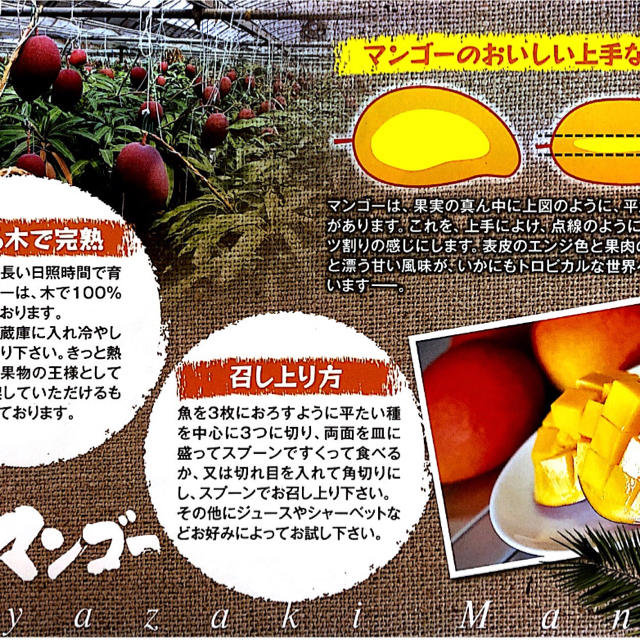 2L　x　宮崎県産　フルーツ　完熟マンゴー　9パック