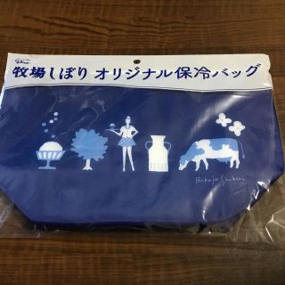 保冷バッグ　オリジナル　非売品(エコバッグ)