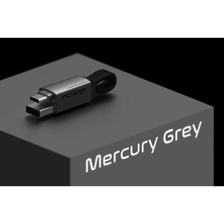 inCharge6 Mercury Grey色 USBケーブル 全デバイスに対応(バッテリー/充電器)