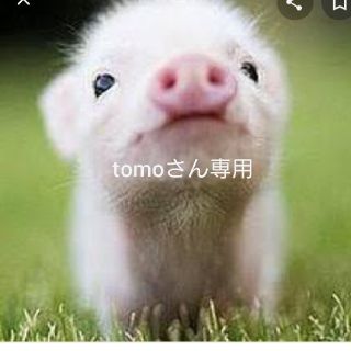 tomoさん専用(ソックス)