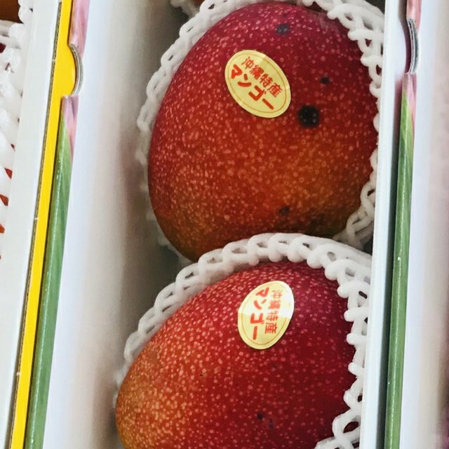 55%OFF!】 訳あり 沖縄産 無農薬マンゴー 1kg以上 3玉 沖縄県産 無農薬マンゴー