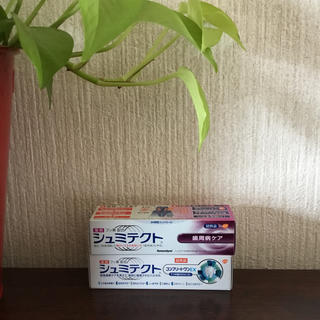 シュミテクト試供品2本セット　☆コンプリートワンEX  ☆歯周病ケア(歯磨き粉)