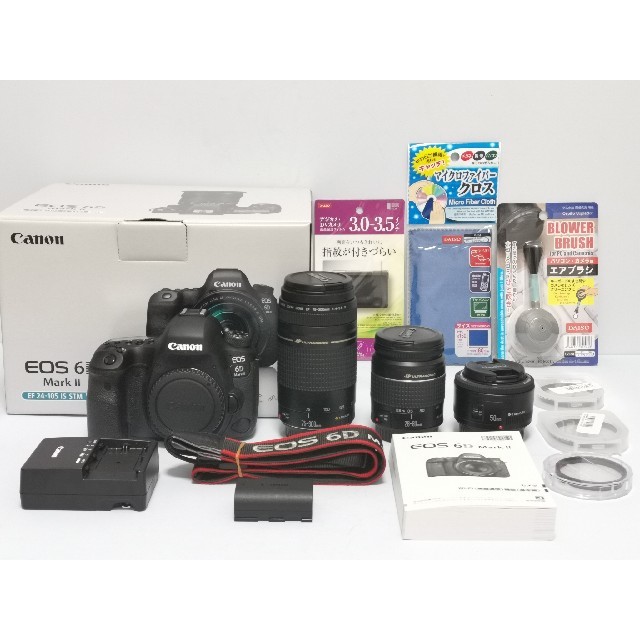 キャノン☆保証付Canon EOS 6D mark II 標準\u0026望遠レンズセット