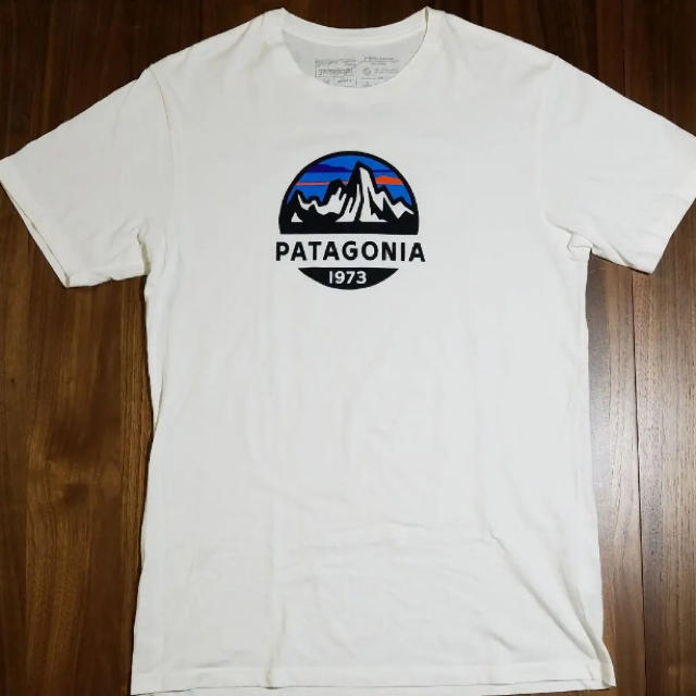 patagonia(パタゴニア)のパタゴニア patagonia Tシャツ オーガニックコットン Mサイズ 美品 メンズのトップス(Tシャツ/カットソー(半袖/袖なし))の商品写真