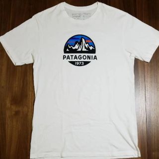 パタゴニア(patagonia)のパタゴニア patagonia Tシャツ オーガニックコットン Mサイズ 美品(Tシャツ/カットソー(半袖/袖なし))