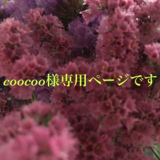 coocoo様専用ページです(ドライフラワー)