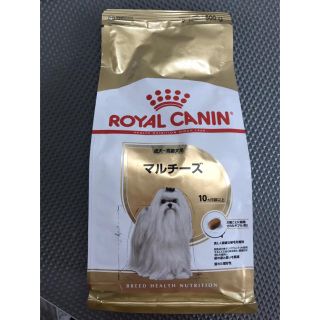 ロイヤルカナン(ROYAL CANIN)のROYAL CANIN  成犬〜高齢犬　マルチーズ　500g✖️2袋(ペットフード)