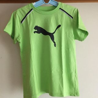 プーマ(PUMA)のプーマ　Tシャツ 150cm (Tシャツ/カットソー)