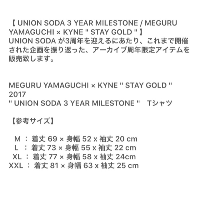 kyne 山口歴 Tシャツ XL union soda パーカー verdy メンズのトップス(Tシャツ/カットソー(半袖/袖なし))の商品写真