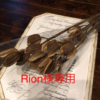 Rion様専用(ドライフラワー)