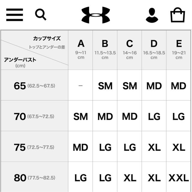 UNDER ARMOUR(アンダーアーマー)のアンダーアーマー★スポーツブラ★LG★新品★送料無料 レディースの下着/アンダーウェア(ブラ)の商品写真