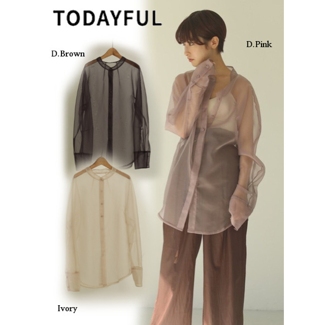 TODAYFUL(トゥデイフル)のシアーシャツ レディースのトップス(シャツ/ブラウス(長袖/七分))の商品写真