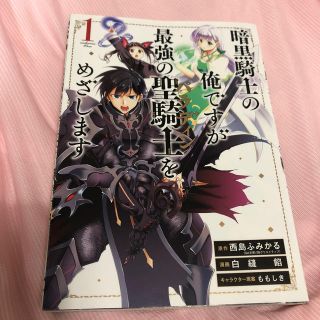 暗黒騎士の俺ですが最強の聖騎士をめざします １(少年漫画)