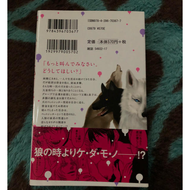 イヤッ 食べちゃダメ 不道徳オオカミ達の甘い牙 伊吹芹の通販 By Non S Shop ラクマ イヤッ 食べちゃダメ 不道徳オオカミ達の甘い牙 伊吹芹の通販 By Non S Shop ラクマ