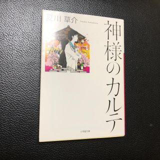 神様のカルテ(文学/小説)