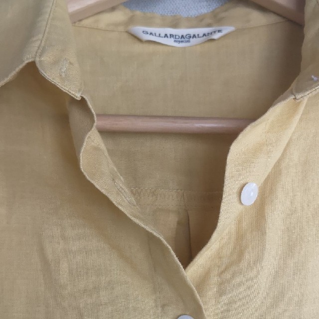 GALLARDA GALANTE(ガリャルダガランテ)のガリャルダガランテ 麻 レディースのトップス(シャツ/ブラウス(半袖/袖なし))の商品写真