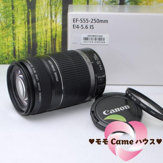 Canon EF-S 55-250mm 望遠ズームレンズ 手ブレ補正付き