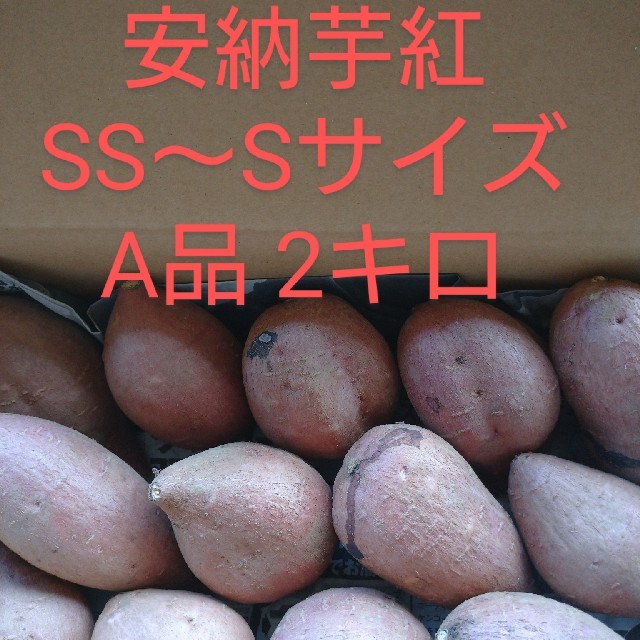 安納芋紅SS～Sサイズ2キロ 食品/飲料/酒の食品(野菜)の商品写真