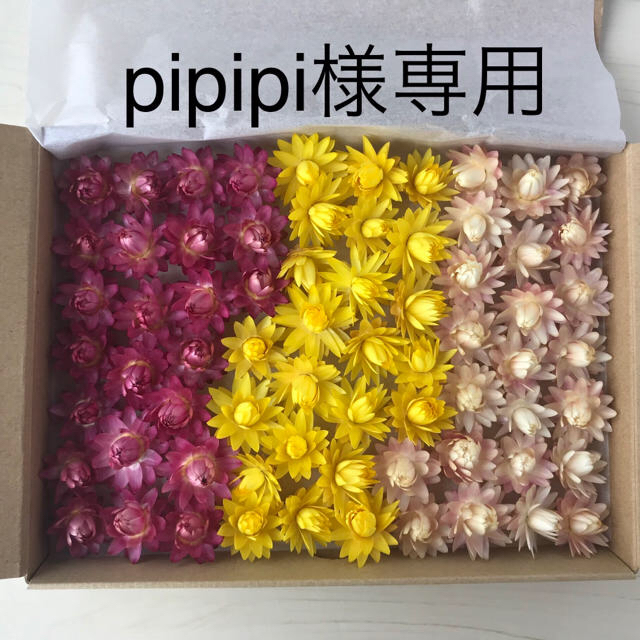 pipipi様専用です。貝細工 ハンドメイドのフラワー/ガーデン(ドライフラワー)の商品写真