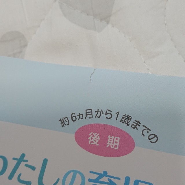 森永乳業(モリナガニュウギョウ)のわたしの育児日記 セット キッズ/ベビー/マタニティのキッズ/ベビー/マタニティ その他(その他)の商品写真