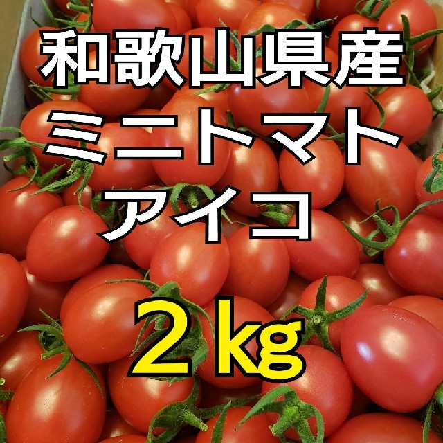 ２㎏ 和歌山県産 ミニトマト アイコ 食品/飲料/酒の食品(野菜)の商品写真