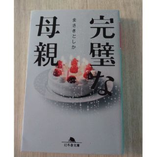 完璧な母親(文学/小説)