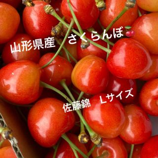 山形県産　さくらんぼ　佐藤錦　1キロ🍒(フルーツ)