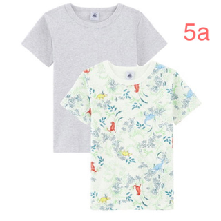 プチバトー(PETIT BATEAU)のプチバトー 20SS プリント半袖Tシャツ2枚組 5a(Tシャツ/カットソー)