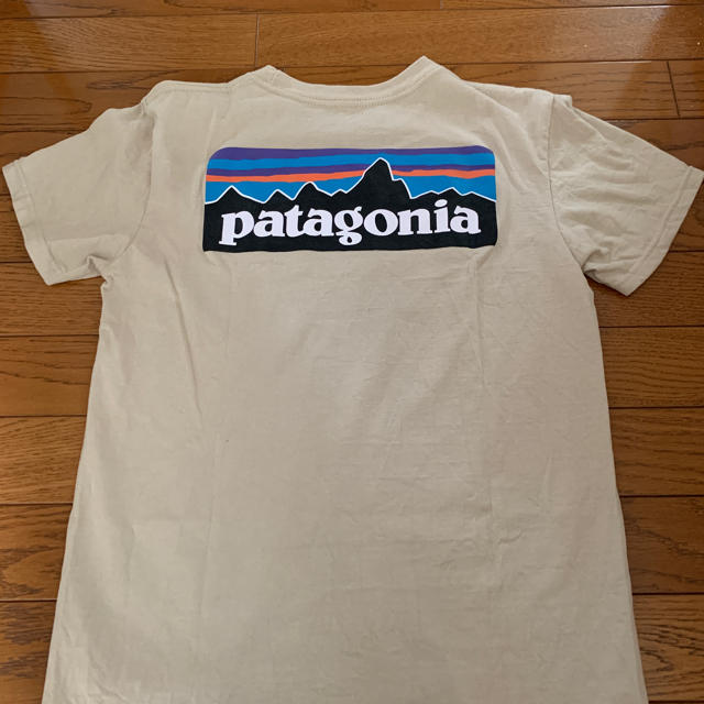 パタゴニア tシャツ