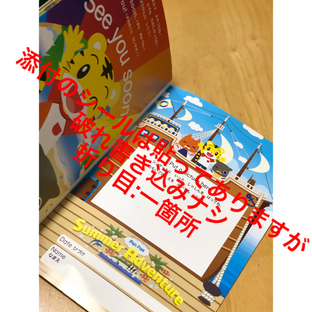 ワールドワイドキッズ dvd ステージ0 ペアレンツガイド付き