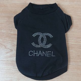 シャネル(CHANEL)の❁CHANEL ノベルティ 犬 服❁(犬)