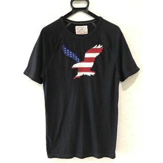 アメリカンイーグル(American Eagle)の＊アメリカンイーグル 星条旗 イーグル 刺繍 半袖 Tシャツ S/P(Tシャツ/カットソー(半袖/袖なし))