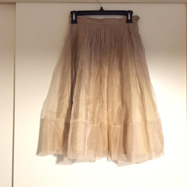 IENA(イエナ)のIENAシルクオーガンジースカート レディースのスカート(ひざ丈スカート)の商品写真