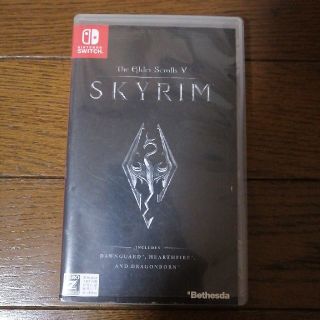 ニンテンドースイッチ(Nintendo Switch)のスカイリム　switch　専用(家庭用ゲームソフト)