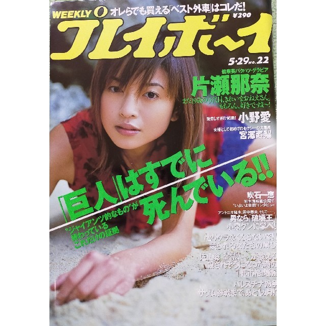 週刊プレイボーイ No.22 片瀬那奈 小野愛 エンタメ/ホビーの雑誌(アート/エンタメ/ホビー)の商品写真