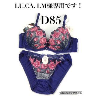 ブラジャーショーツ D85LL ☆LU.CA.LM様専用です❣️(ブラ&ショーツセット)