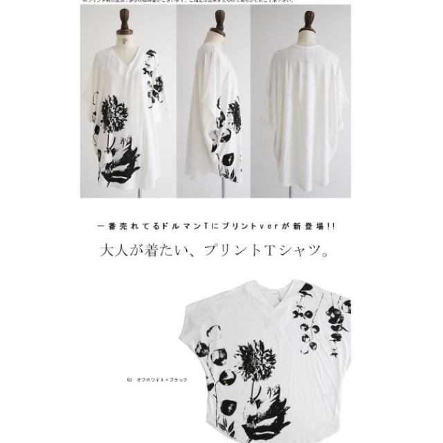 antiqua(アンティカ)のアンティカ Vネック 花柄ドルマンTシャツ レディースのトップス(Tシャツ(半袖/袖なし))の商品写真