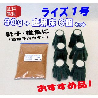 【微粒子パウダー】ライズ １号 ３０g + めだか 産卵床６個セット②(アクアリウム)