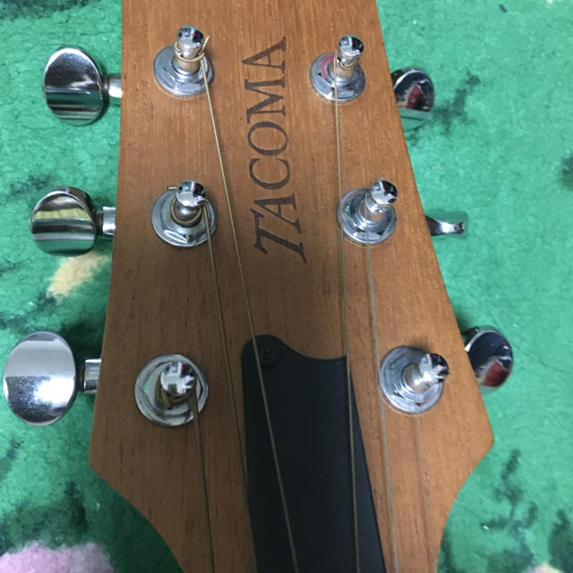 Gibson - tacoma c1c ギター 土日特価