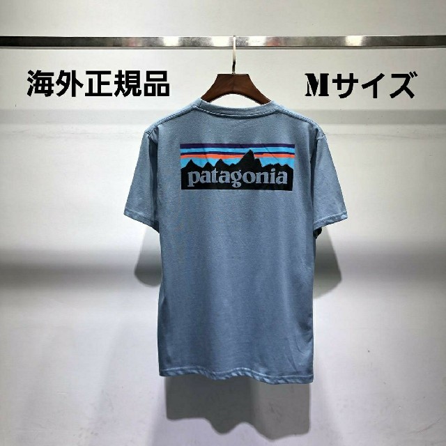 海外正規品　即日発送　patagonia　半袖Tシャツ　ブルー　Mサイズ