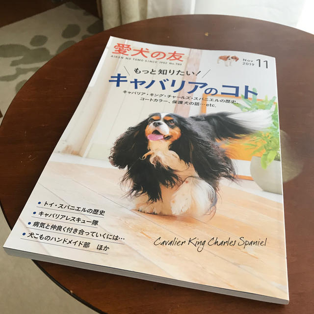 愛犬の友 キャバリア特集 エンタメ/ホビーの雑誌(趣味/スポーツ)の商品写真