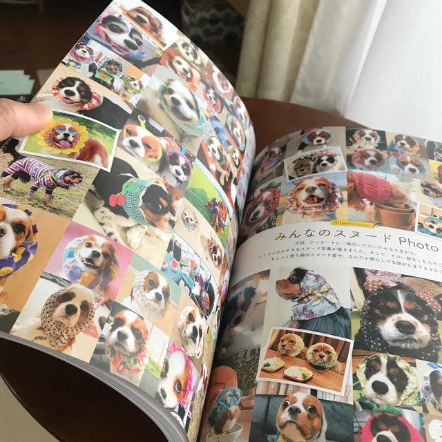 愛犬の友 キャバリア特集 エンタメ/ホビーの雑誌(趣味/スポーツ)の商品写真