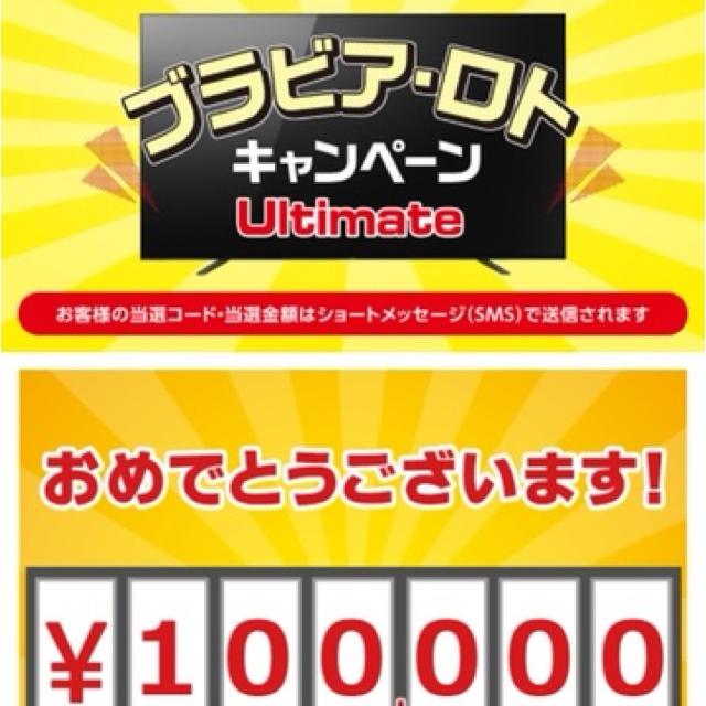 ブラビアロト　10万円キャッシュバック優待券/割引券